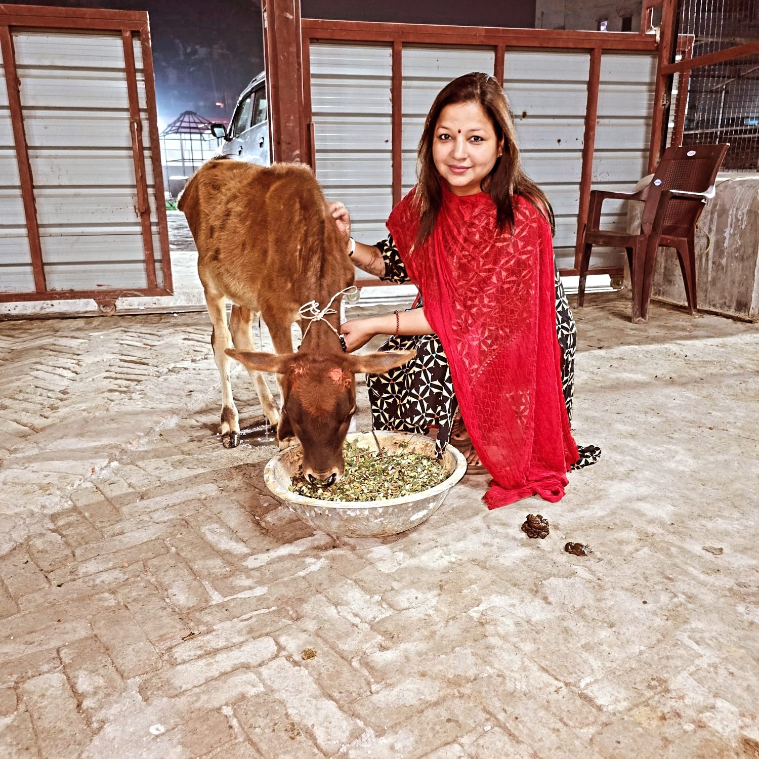 Moments of Care: Feeding the Animals
