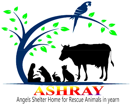 Ashray Gauseva Sansthan