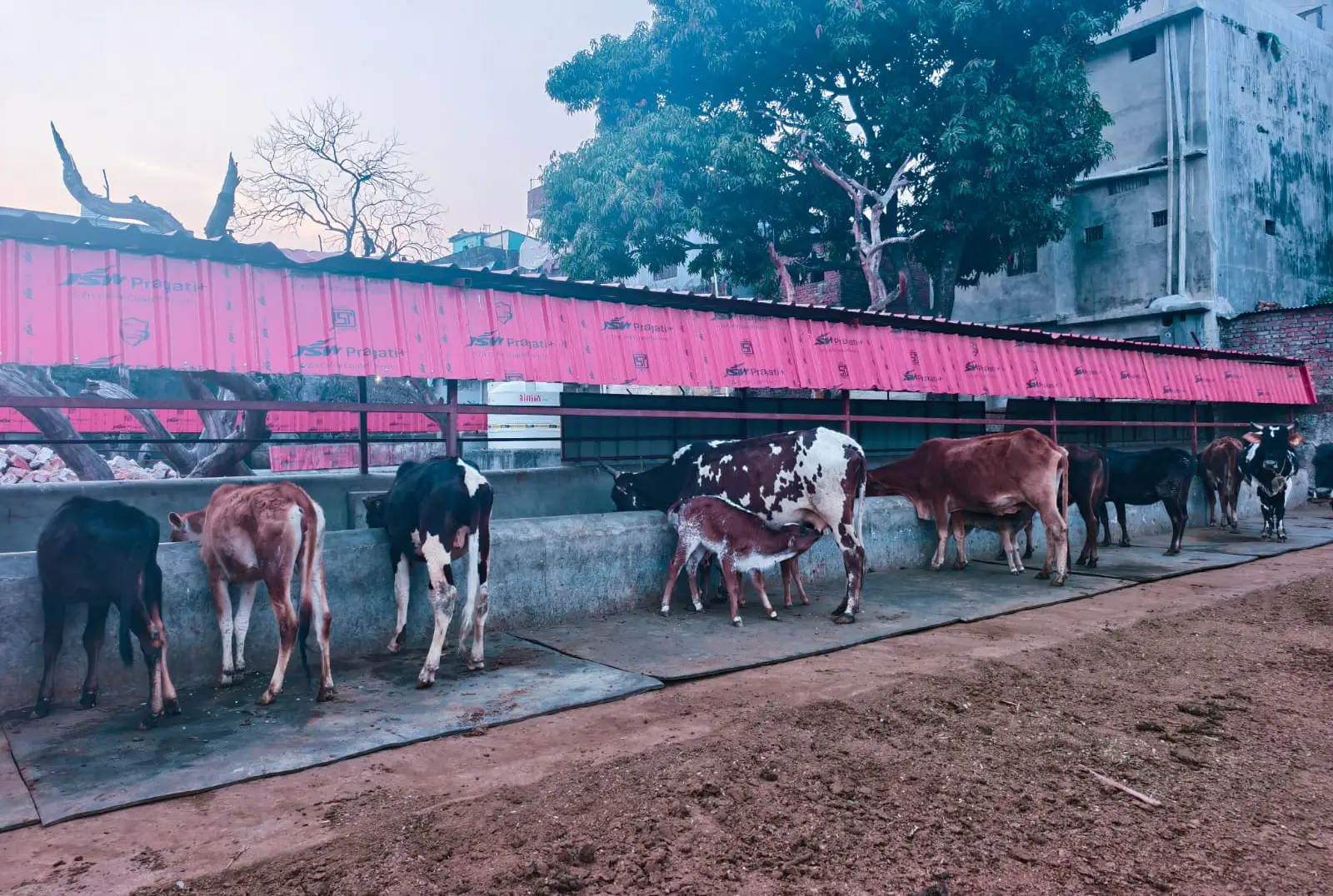 Community Feeding Drives: Seva That Brings Us Together